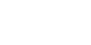 Primary Raster logo